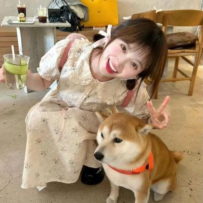 森林边缘的寂寞海报